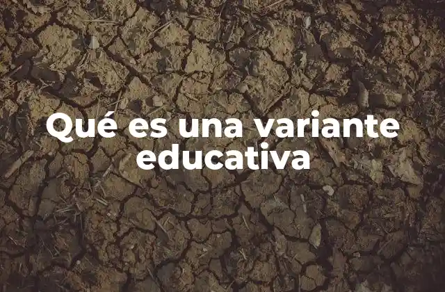 Qué es una Variante Educativa