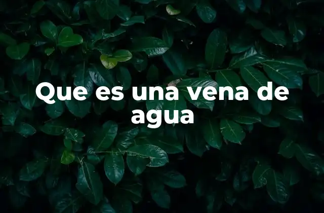 Que es una Vena de Agua