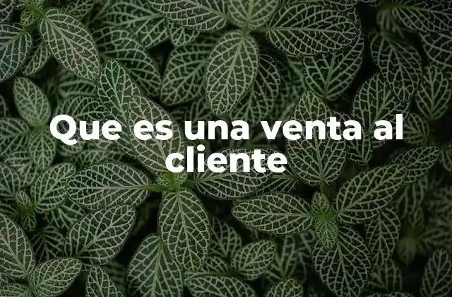 Que es una Venta Al Cliente