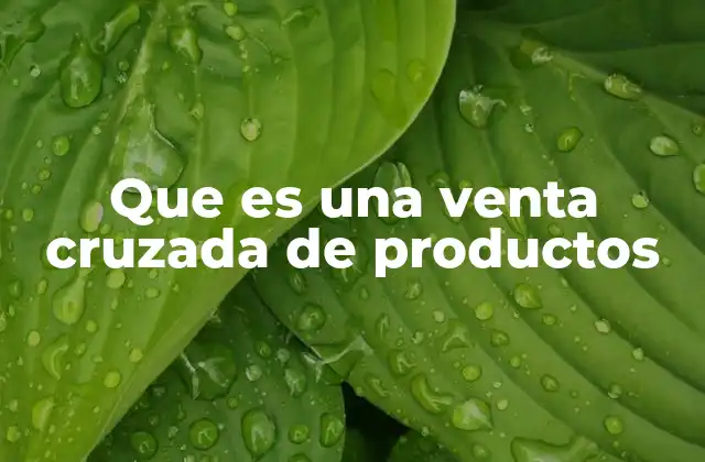 Que es una Venta Cruzada de Productos