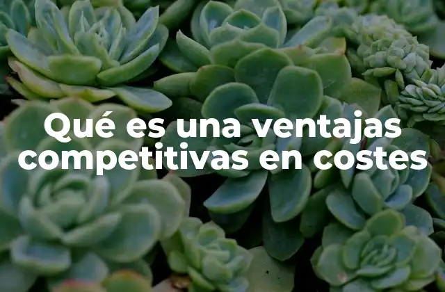Qué es una Ventajas Competitivas en Costes