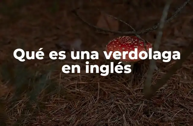 Qué es una Verdolaga en Inglés