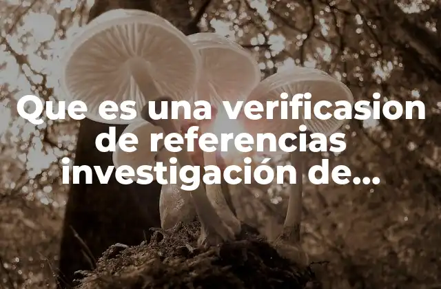 Que es una Verificasion de Referencias Investigación de Referencias