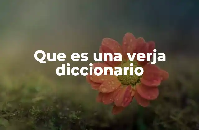 Que es una Verja Diccionario