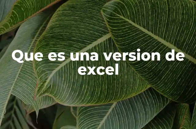 Que es una Version de Excel
