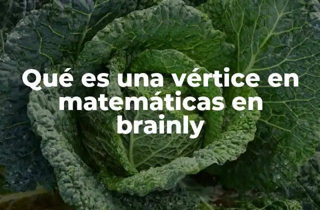 Qué es una Vértice en Matemáticas en Brainly