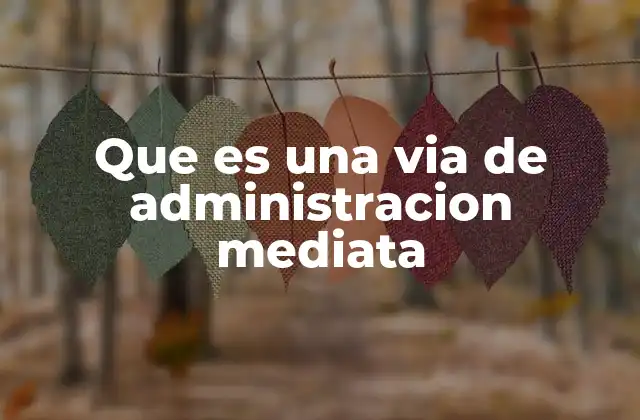 Que es una Via de Administracion Mediata