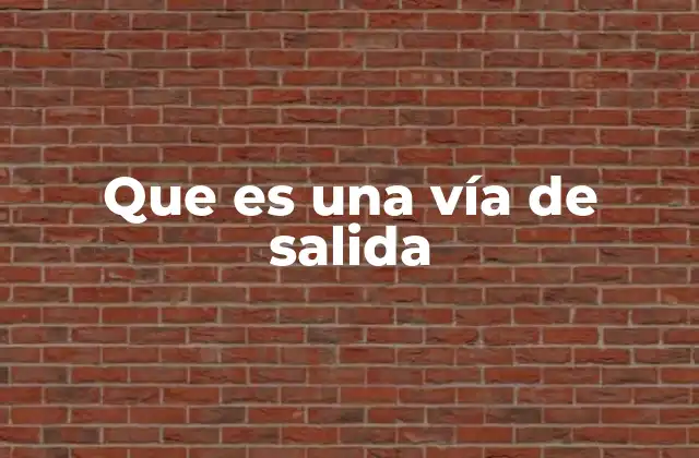 Que es una Vía de Salida