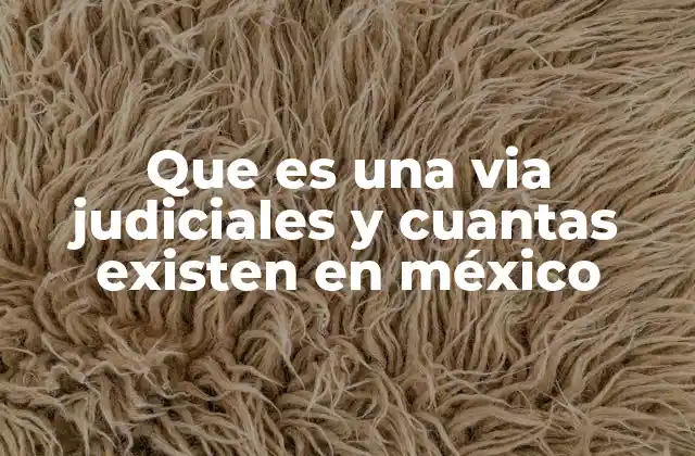 Que es una Via Judiciales y Cuantas Existen en México