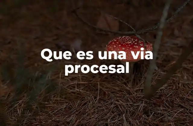 Que es una Via Procesal