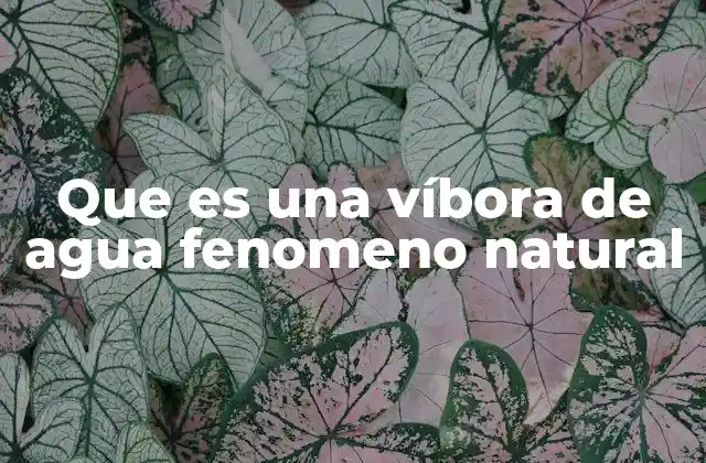 Que es una Víbora de Agua Fenomeno Natural
