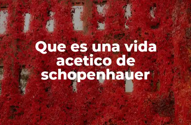 Que es una Vida Acetico de Schopenhauer