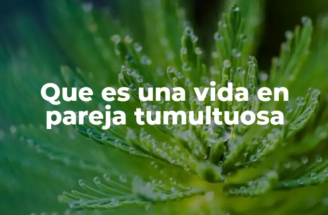 Que es una Vida en Pareja Tumultuosa