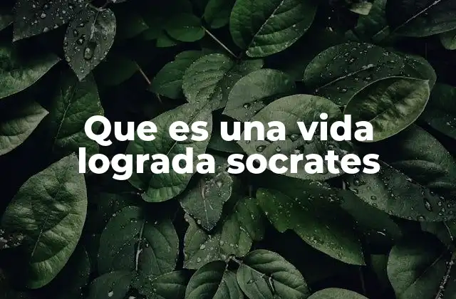 Que es una Vida Lograda Socrates