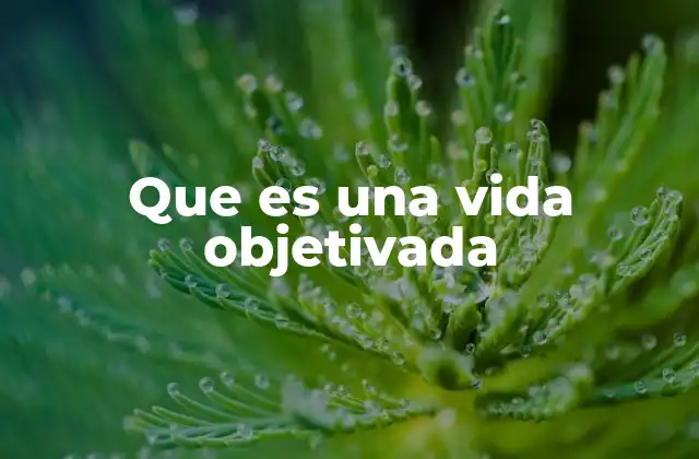 Que es una Vida Objetivada