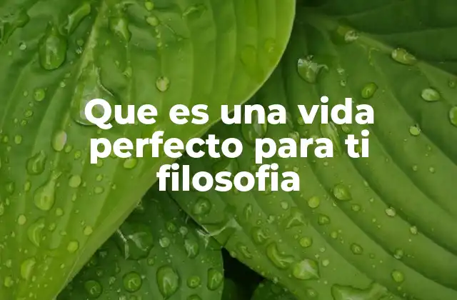Que es una Vida Perfecto para Ti Filosofia
