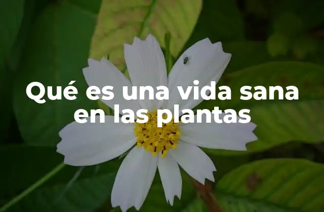 Qué es una Vida Sana en las Plantas