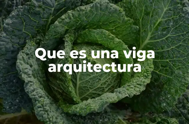 Que es una Viga Arquitectura