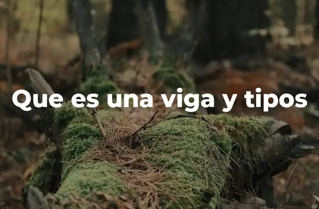 Que es una Viga y Tipos 2 El papel de las vigas en la arquitectura moderna