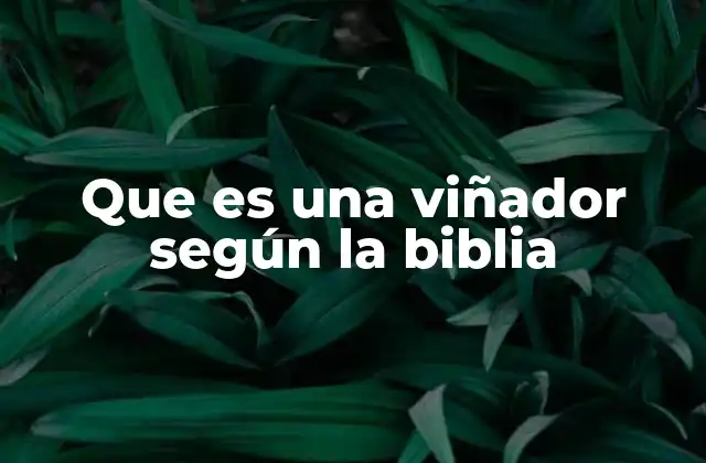 Que es una Viñador según la Biblia