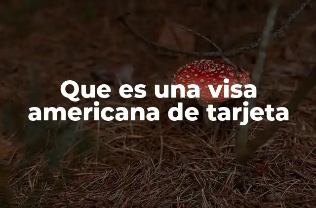 Que es una Visa Americana de Tarjeta