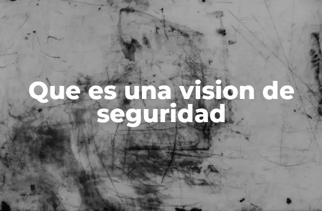 Que es una Vision de Seguridad