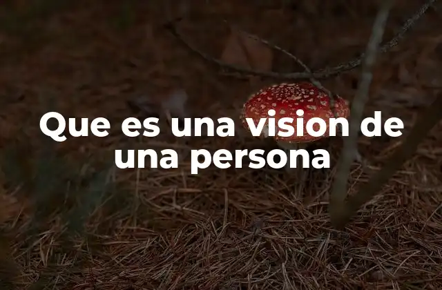 Que es una Vision de una Persona