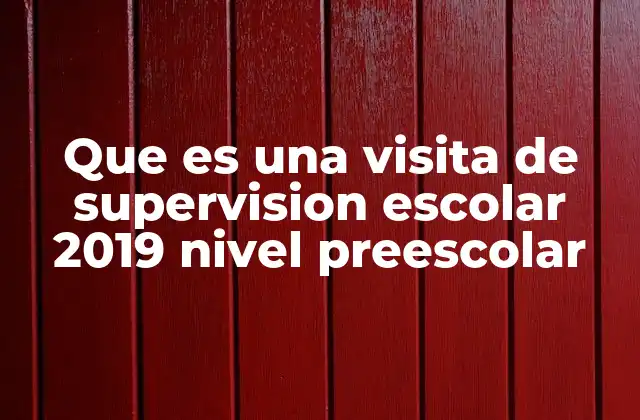 Que es una Visita de Supervision Escolar 2019 Nivel Preescolar