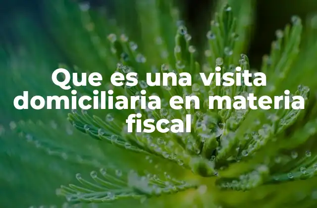 Que es una Visita Domiciliaria en Materia Fiscal