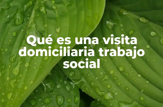 Qué es una Visita Domiciliaria Trabajo Social