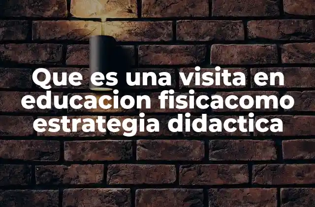 Que es una Visita en Educacion Fisicacomo Estrategia Didactica