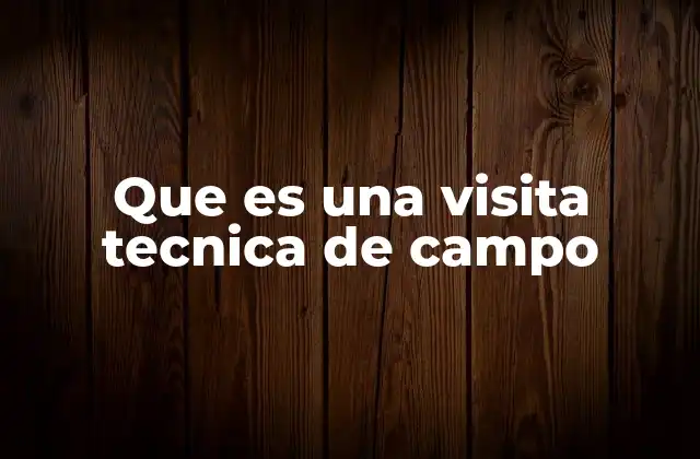 Que es una Visita Tecnica de Campo