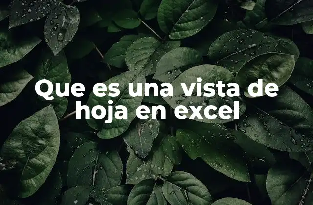 Que es una Vista de Hoja en Excel