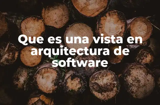 Que es una Vista en Arquitectura de Software
