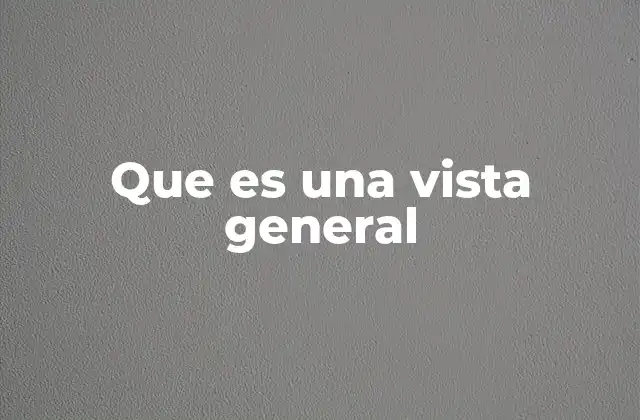 Que es una Vista General