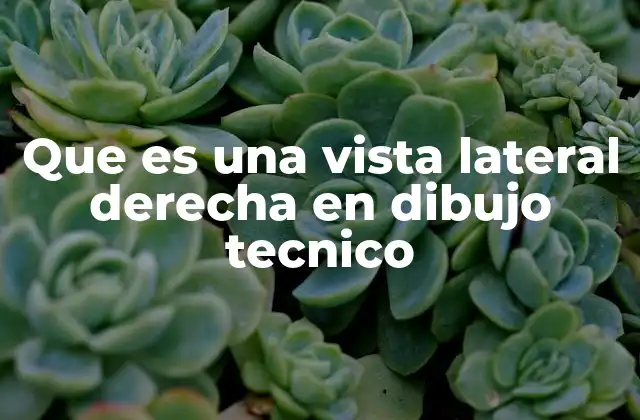 Que es una Vista Lateral Derecha en Dibujo Tecnico