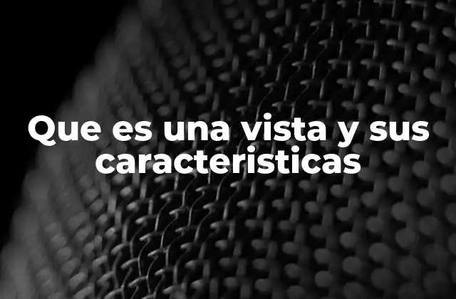 Que es una Vista y Sus Caracteristicas