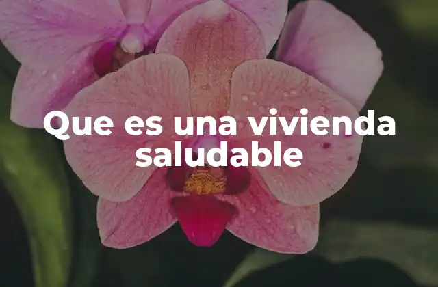 Que es una Vivienda Saludable