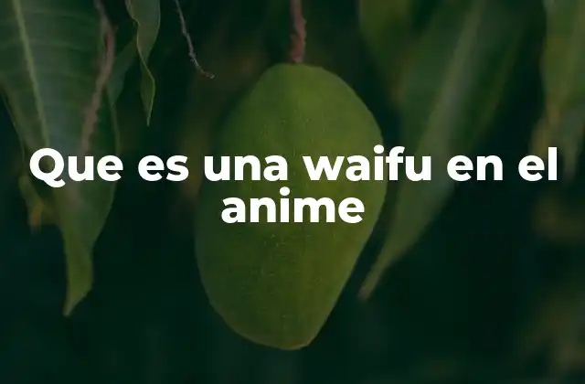 Que es una Waifu en el Anime
