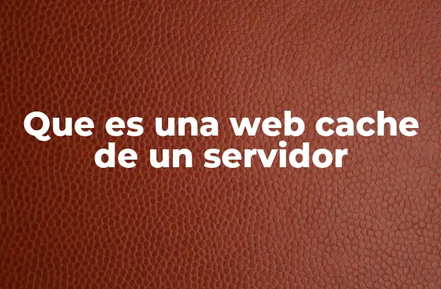 Que es una Web Cache de un Servidor
