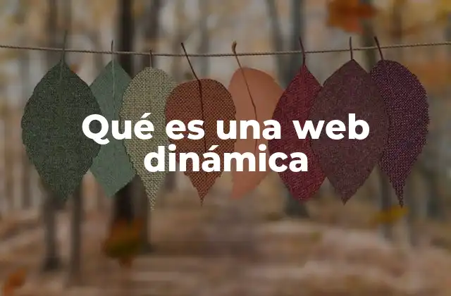 Qué es una Web Dinámica