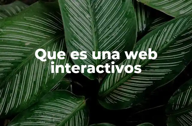 La evolución de la experiencia digital a través de la web interactiva