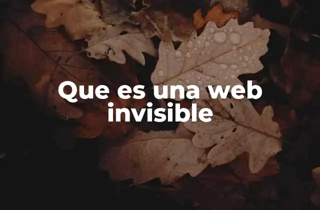 Que es una Web Invisible