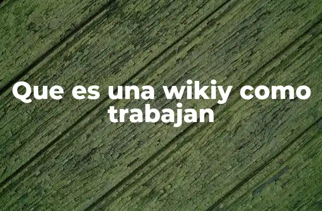 Que es una Wikiy como Trabajan