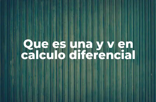 Que es una y V en Calculo Diferencial