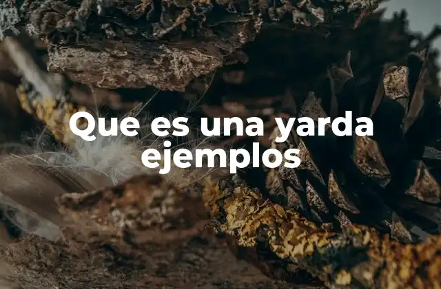 Que es una Yarda Ejemplos