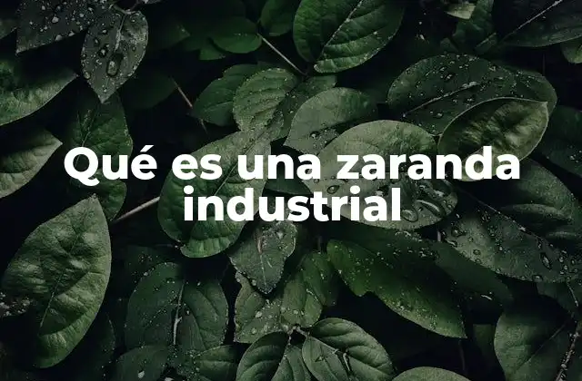 Qué es una Zaranda Industrial 2 Cómo funcionan las zarandas industriales