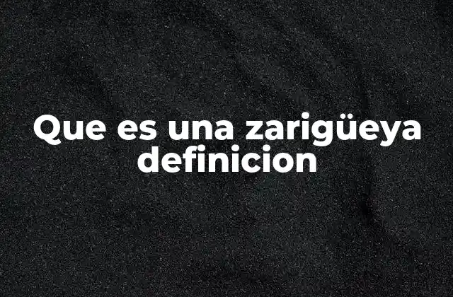 Que es una Zarigüeya Definicion