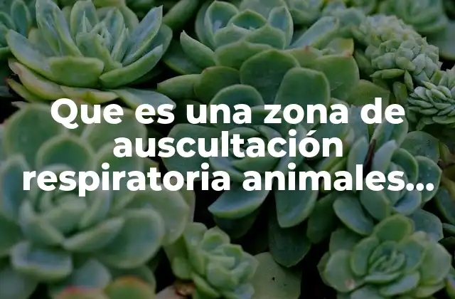 La importancia de la auscultación en la medicina veterinaria