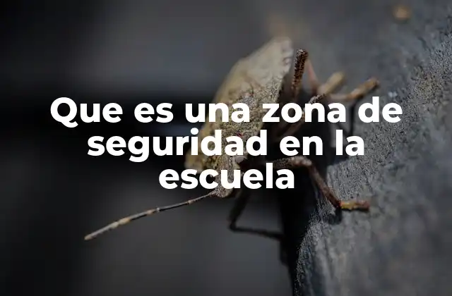 Que es una Zona de Seguridad en la Escuela